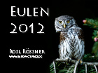 Eulenkalender