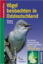 Vögel beobachten in Ostdeutschland