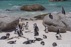 Pinguin Beach